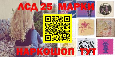 ALPHA PVP Камышлов