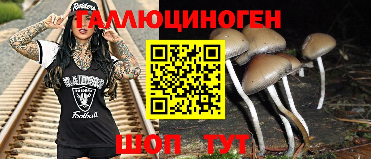Чусовой  Псилоцибиновые грибы прущие грибы  купить наркоту  Вход с VPN 