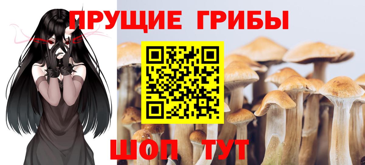 Галлюциногенные грибы MAGIC MUSHROOMS Чусовой